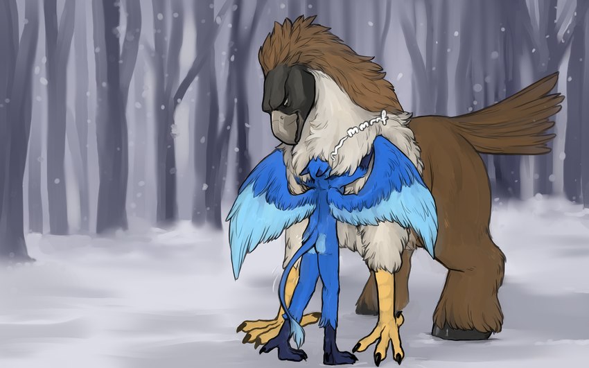 anthro duo face_in_chest feathers feral fluffy_chest hug male male/male plant snow tree wings torakuta european_mythology greek_mythology mythology pirate_eagle spicy_(spicygryphon) accipitrid accipitriform avian bird eagle gryphon hippogriff mythological_avian mythological_creature philippine_eagle 16:10 hi_res widescreen