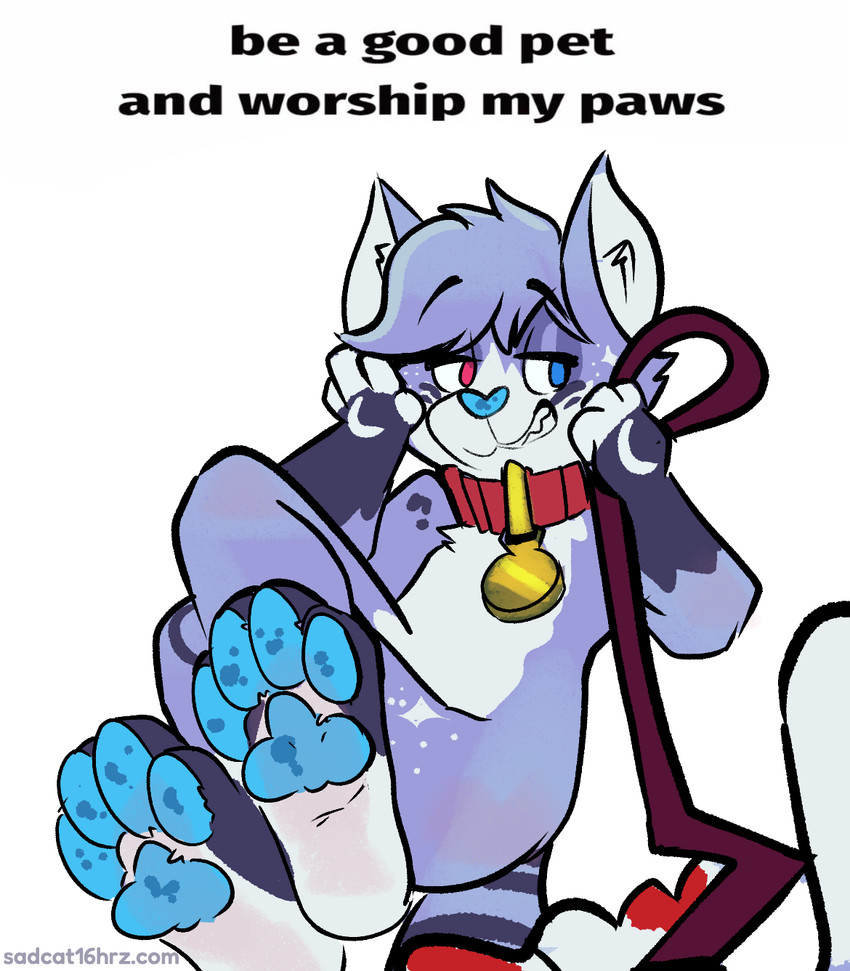 barefoot bdsm blue_nose blue_pawpads body_worship collar feet gesture musk musk_worship musky_feet pawpads paws petplay roleplay smile smiling_at_viewer solo suggestive suggestive_dialogue suggestive_gesture suggestive_pose text worship worship_request conditional_dnp sadcat16hrz douglas_cat domestic_cat felid feline felis mammal english_text hi_res meme