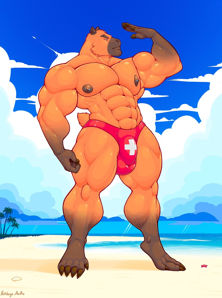 abs anthro balls_outline beach big_bulge brown_body brown_fur bulge cheek_tuft clothed clothing detailed_bulge facial_tuft fur genital_outline half-closed_eyes male multicolored_body multicolored_fur muscle_tone muscular muscular_anthro muscular_male narrowed_eyes pecs penis_outline seaside solo speedo speedo_only swimwear topless tuft two_tone_body two_tone_fur hotdogsauau capybara caviid mammal rodent absurd_res hi_res