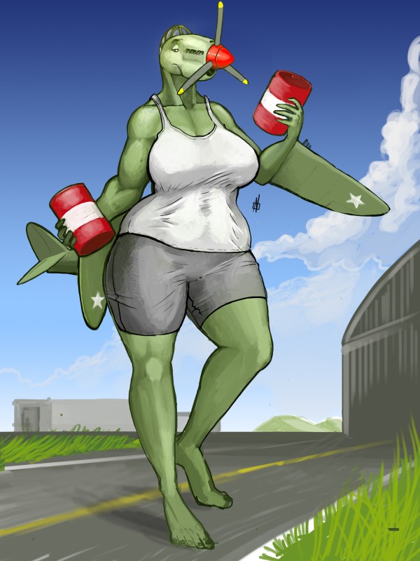 aircraft airplane athletic barrel big_breasts bottomwear breasts clothing female green_body holding_object machine muscular not_furry outside propeller shirt shorts solo standing tank_top topwear united_states_of_america vehicle wide_hips world_war_2 ndragon3 p-40 catherine_(panzerschreckleopard) aircraft_humanoid humanoid living_aircraft living_machine living_vehicle 2015 3:4 absurd_res hi_res