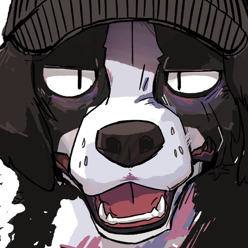 black_body black_fur clothing eye_bags fur hat headgear headwear multicolored_body multicolored_fur open_mouth pupils slit_pupils solo two_tone_body two_tone_fur white_body white_fur hot_dog_wolf border_collie canid canine canis collie domestic_dog herding_dog mammal pastoral_dog sheepdog 1:1 headshot_portrait hi_res portrait shaded