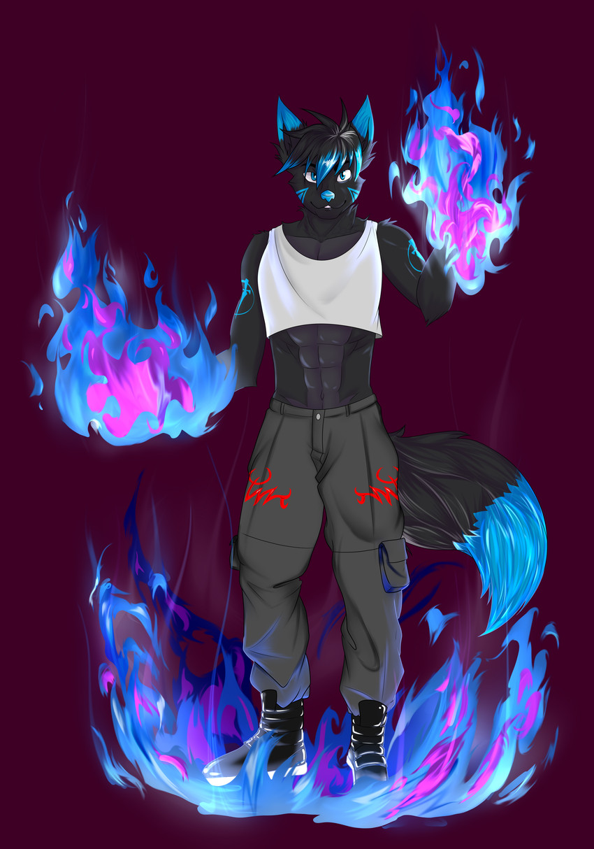 anthro boots bottomwear clothing crop_top fire footwear hair looking_at_viewer male pants shirt shoes simple_background solo topwear guepardoxart canid canine fox mammal absurd_res hi_res