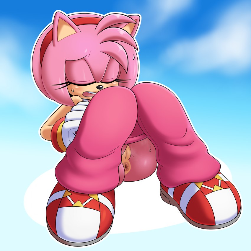 amy rose (sonic the hedgehog (series) and etc) created by hyoumaru