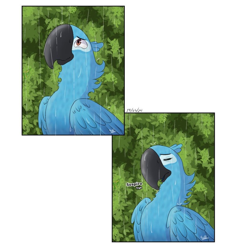 blue_body blue_feathers date feathers feral forest jungle male plant raining solo tree yuki2437 blue_sky_studios rio_(series) blu_(rio) avian bird macaw neotropical_parrot parrot spix's_macaw true_parrot comic digital_drawing_(artwork) digital_media_(artwork) signature