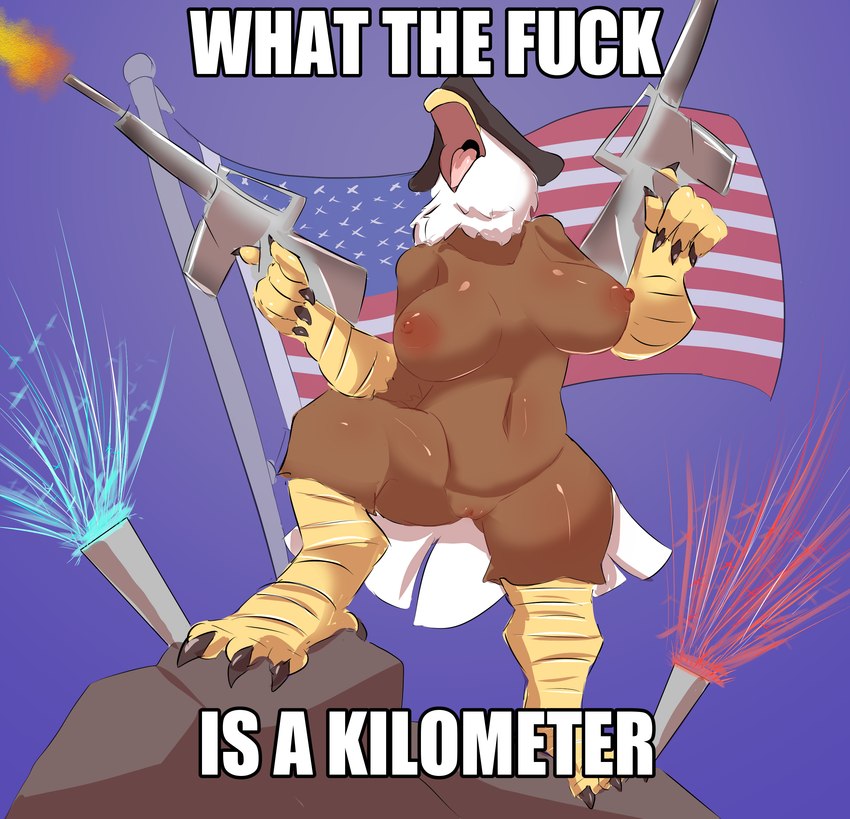 american_flag beak big_breasts breasts female genitals gun holidays huge_breasts nipples non-mammal_nipples pussy ranged_weapon solo united_states_of_america weapon birbmabe 4th_of_july what_the_fuck_is_a_kilometer accipitrid accipitriform avian bird eagle absurd_res hi_res