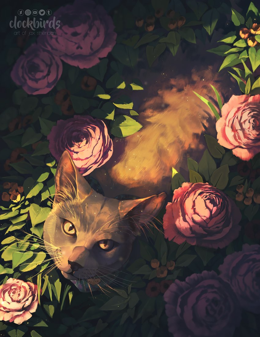 ambiguous_gender black_body black_fur feral flower fur looking_at_viewer looking_up orange_eyes plant rose_(flower) solo whiskers clockbirds domestic_cat felid feline felis mammal 2021 digital_media_(artwork) hi_res signature