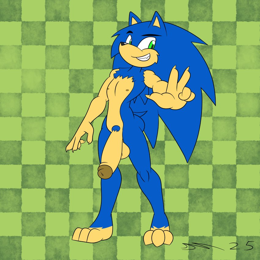 anthro balls blue_body genitals green_eyes humanoid_genitalia humanoid_penis male male_anthro nude penis solo dirtymac mac-daddy sega sonic_the_hedgehog_(series) sonic_the_hedgehog eulipotyphlan hedgehog mammal 1:1 absurd_res hi_res