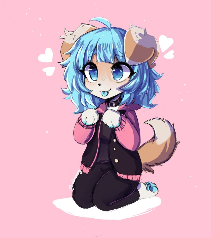 anthro blue_eyes blue_hair blue_tongue bottomwear brown_body brown_fur clothing fangs female fur hair heart_symbol hoodie pants paws shirt short_tail simple_background solo sweatpants tail teeth text tongue tongue_out topwear undershirt white_body white_fur anakoluth canid canine canis domestic_dog mammal hi_res signature