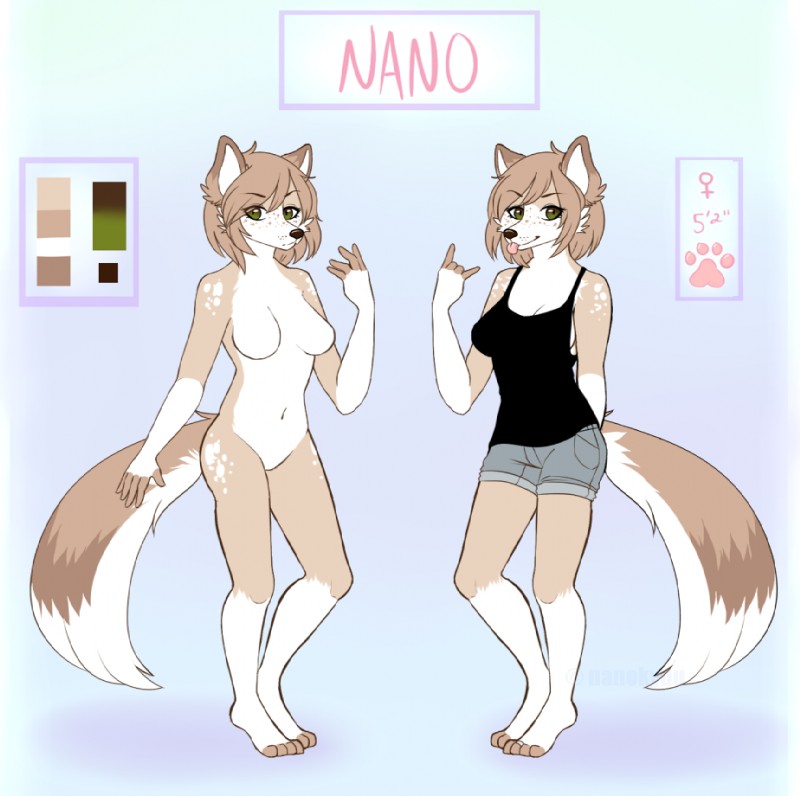 anthro clothed clothing female fur hair looking_at_viewer nude off/on solo standing nanokyuu canid canine mammal model_sheet