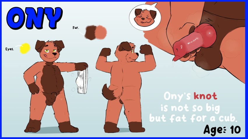 animal_genitalia animal_penis anthro balls belly blue_border border canine_genitalia canine_penis clothing genitals knot male musk musk_clouds nude penis presenting solo stained_underwear underwear young onykr ony canid canine canis domestic_dog mammal 16:9 hi_res model_sheet widescreen