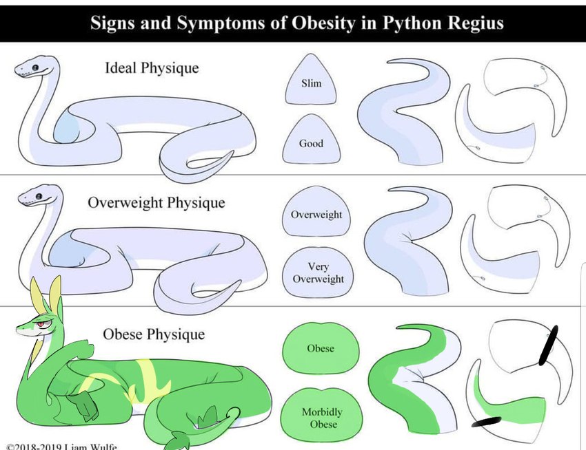 ambiguous_gender anatomy animal_genitalia censor_bar censored_cloaca censored_genitalia chart cloaca comparing feral genitals informative obese obese_feral overweight overweight_feral size_chart slightly_chubby slightly_chubby_feral solo tagging_guidelines_illustrated tail_focus text the_more_you_know weight_chart liam_wulfe long_and_soft third-party_edit nintendo pokemon ball_python generation_5_pokemon pokemon_(species) python python_(genus) reptile scalie serperior snake censored english_text shopped