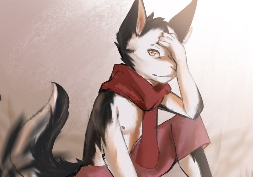 anthro black_body black_fur blurred_background clothing fur looking_at_viewer male red_clothing simple_background sitting solo white_body white_fur yellow_eyes stampmats canid canine canis domestic_dog husky mammal nordic_sled_dog spitz