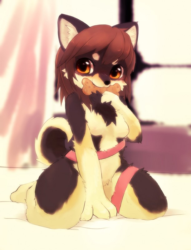 anthro biped black_nose breasts brown_body brown_eyes brown_fur brown_hair female fur hair inside kneeling looking_at_viewer nipples nude solo white_body white_fur window rag._(artist) canid canine canis domestic_dog mammal shiba_inu spitz 2016 hi_res