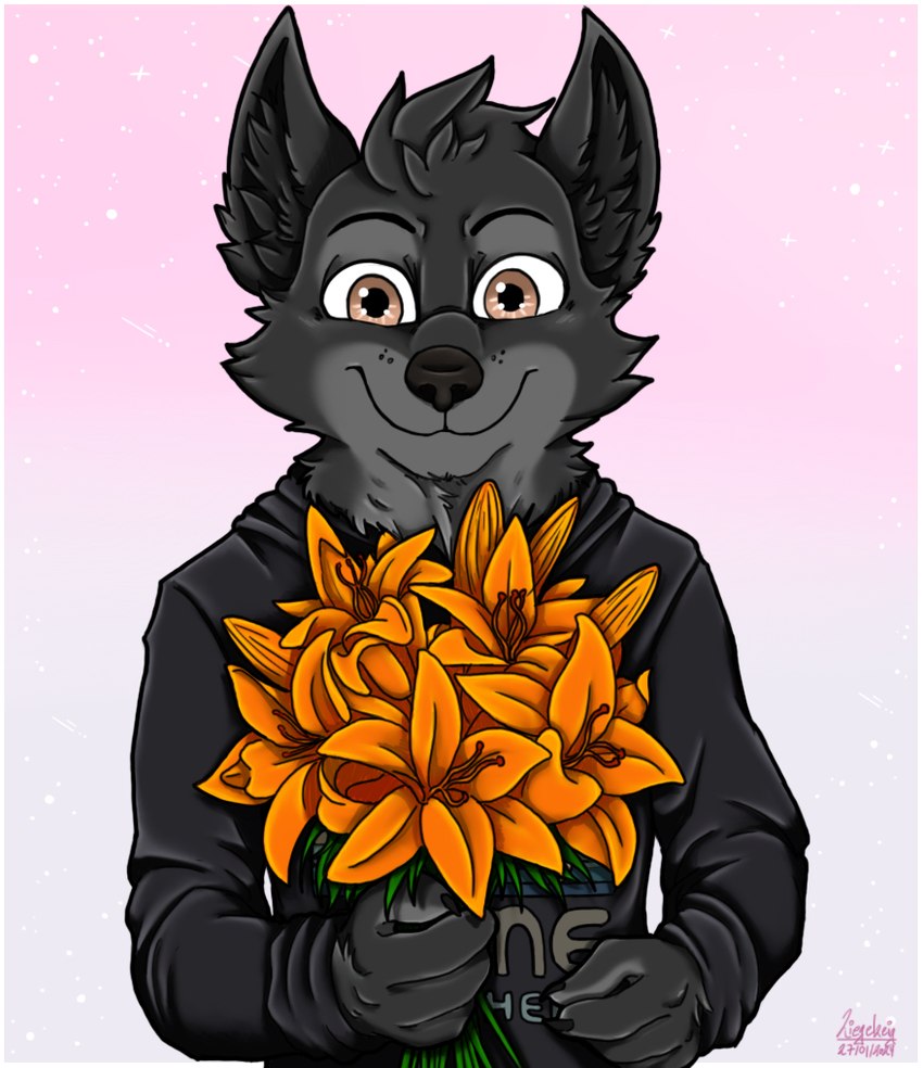 anthro black_body black_fur brown_eyes flower fur male plant ziegelzeig brutus_deagon_(brutusdeagon) canid canine canis mammal wolf 2024