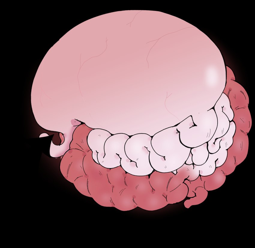 belly digestion faceless_character faceless_male fully_inside guts internal intestines male organs stomach vore slippdipp alpha_channel