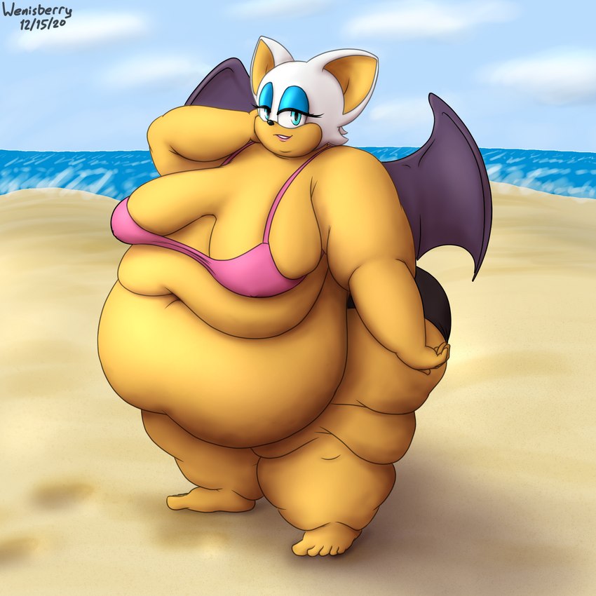 anthro beach female morbidly_obese morbidly_obese_anthro morbidly_obese_female obese obese_anthro obese_female overweight overweight_anthro overweight_female seaside solo wenisberry sega sonic_the_hedgehog_(series) rouge_the_bat bat mammal 1:1 hi_res