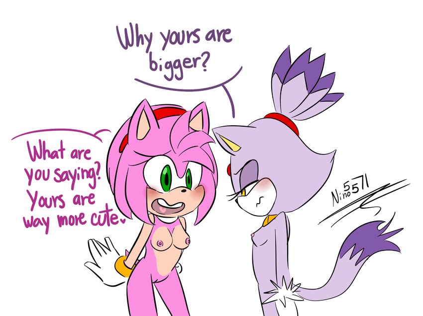 anthro areola blush breast_envy breast_size_difference breasts clothing dialogue duo female female/female fur genitals gloves green_eyes hair handwear nipples nude open_mouth pink_body purple_body purple_fur pussy simple_background slim_female small_breasts standing tail teeth text thin_thighs ninotrash sega sonic_the_hedgehog_(series) amy_rose blaze_the_cat domestic_cat eulipotyphlan felid feline felis hedgehog mammal digital_media_(artwork) english_text hi_res