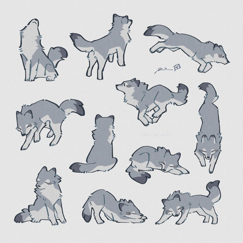 ambiguous_gender countershade_fur countershading dipstick_ears dipstick_tail ear_markings eyes_closed feral fur grey_body grey_fur group markings multicolored_ears multiple_poses pose quadruped running simple_background sitting stretching tail tail_markings white_background white_body white_countershading rinrinwolf canid canine canis mammal wolf 1:1 2024 absurd_res hi_res model_sheet