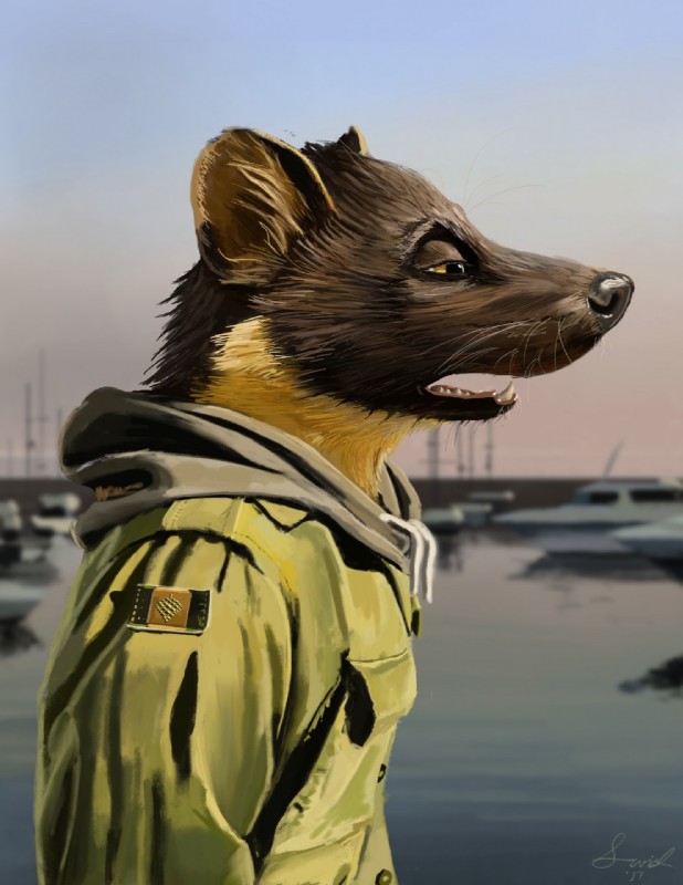 anthro black_nose clothing fur hoodie open_mouth solo teeth topwear whiskers yellow_eyes swish gulonine mammal marten mustelid musteline pine_marten 2017 hi_res