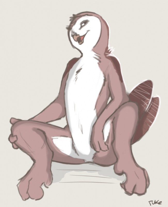 anthro beak biped feathers featureless_crotch looking_at_viewer nude open_beak open_mouth simple_background sitting solo spread_legs spreading tail tail_feathers tuke avian bird owl 2017