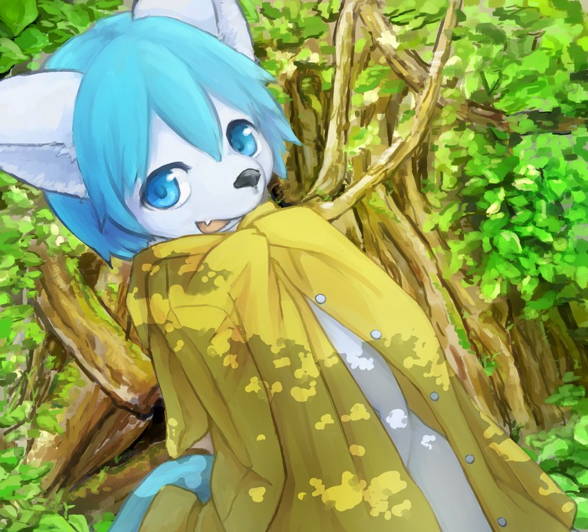 anthro black_nose blue_eyes blue_hair blue_tail bottomless clothed clothing coat cute_fangs detailed_background dutch_angle fangs glistening glistening_eyes hair holding_clothing holding_object kemono komorebi looking_at_viewer male navel navel_outline plant raincoat shota solo tail teeth topwear tree white_ears yellow_raincoat young young_anthro naegi teru_(naegi) canid canine fox mammal 2019 digital_media_(artwork) digital_painting_(artwork) hi_res shaded unavailable_at_source