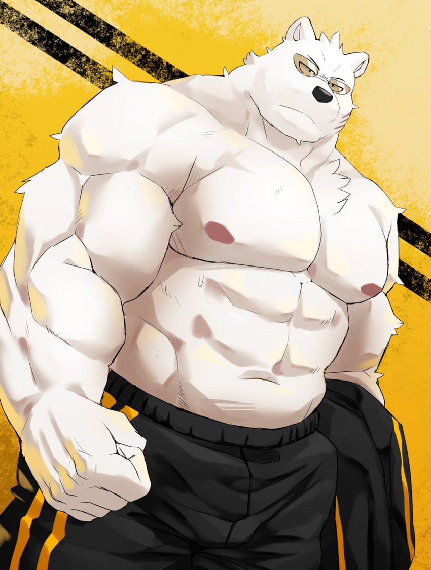 abs anthro biceps bottomwear clothing eyewear male muscular muscular_anthro muscular_male nipples pants pecs shirt solo sunglasses topwear white_body mti777 odd_taxi sekiguchi_(odd_taxi) bear mammal polar_bear ursine hi_res