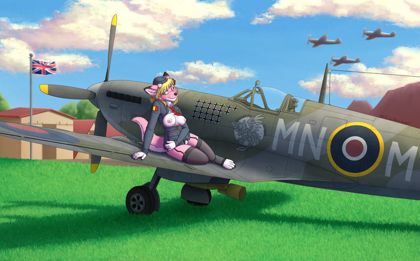 aircraft airfield airplane anthro belgian_flag black_nose blonde_hair blue_eyes breasts clothed clothing dipstick_ears ear_markings female free_belgian_forces fur garter_straps hair inner_ear_fluff legwear lingerie multicolored_ears nipples outside pilot pink_body pink_fur pink_nipples sitting solo stockings tail toeless_legwear tuft union_jack vehicle world_war_2 kina_heijima mythology spitfire_mk_ix supermarine_spitfire roketchu canid canine canis dragon hybrid mammal mythological_creature mythological_scalie scalie wolf absurd_res hi_res