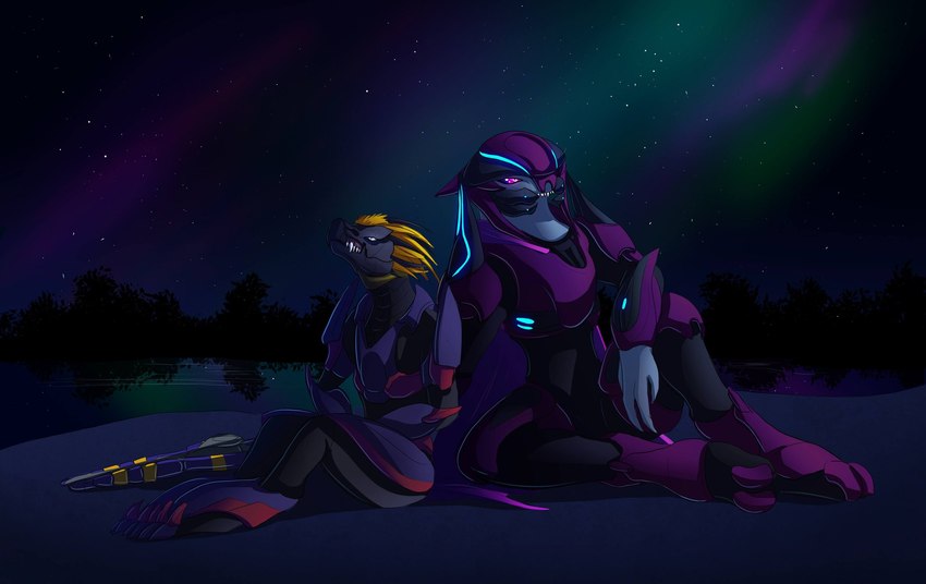 2_toes 3_toes 4_fingers ambiguous_gender arm_support armor aurora_(phenomenon) beak beam_rifle body_armor claws clothed clothing cuisse digitigrade duo fangs feather_hair feathered_crest feathers feet fingers fully_clothed head_crest headgear helmet looking_up night pseudo_hair pupils purple_eyes sitting sky slit_pupils spaulder star starry_sky teeth toe_claws toes water yellow_body yellow_eyes yellow_feathers lady_ahiru halo_(series) microsoft xbox_game_studios alien avian kig-yar sangheili scalie t'vaoan hi_res