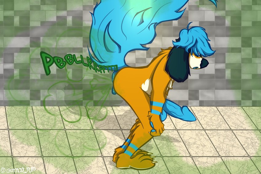 anthro anus bent_over big_penis blue_anus blue_hair blue_penis erection fart fart_fetish fur gas genitals hair male nude orange_body orange_fur penis puffy_anus solo getchoo_pup canid canine mammal hi_res