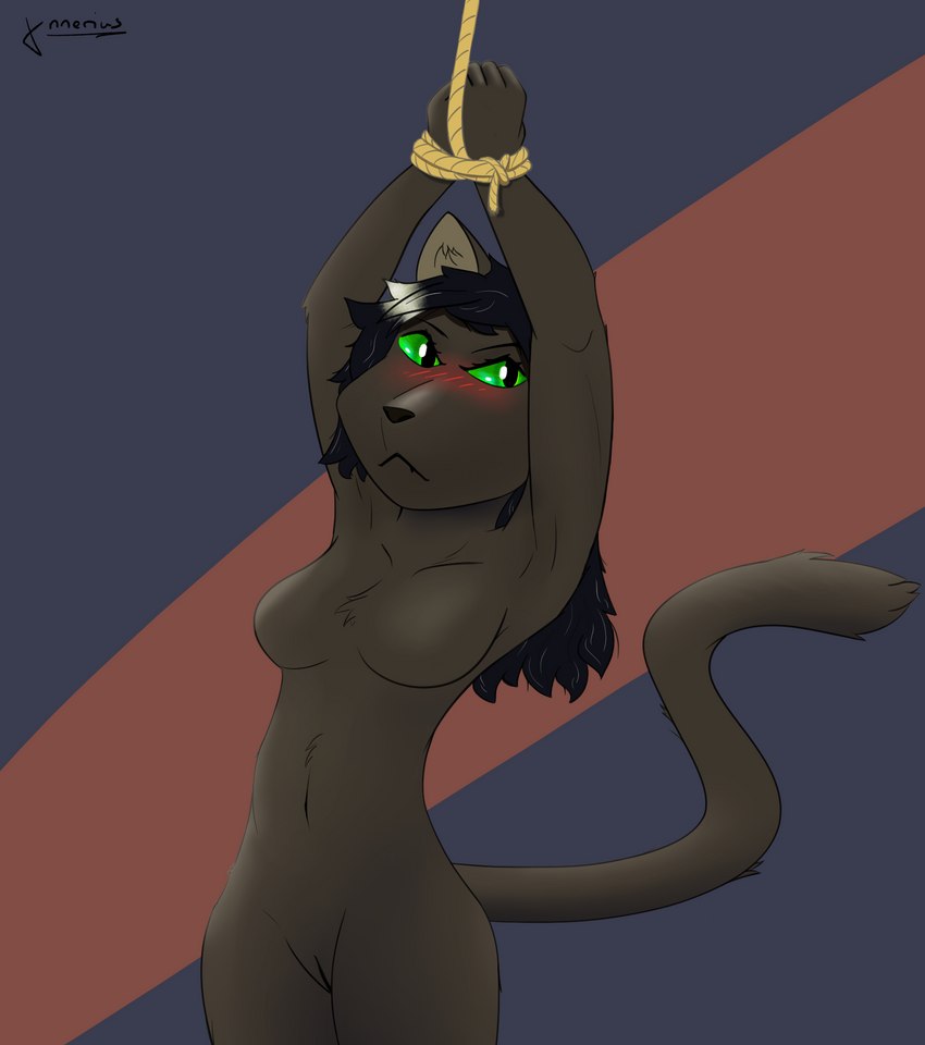 anthro arms_above_head bdsm black_body black_fur blush bound embarrassed female fur green_eyes hands_tied looking_at_viewer nude rope slim solo third-party_edit ynnerius rrannara domestic_cat felid feline felis mammal censor_removal_edit hi_res