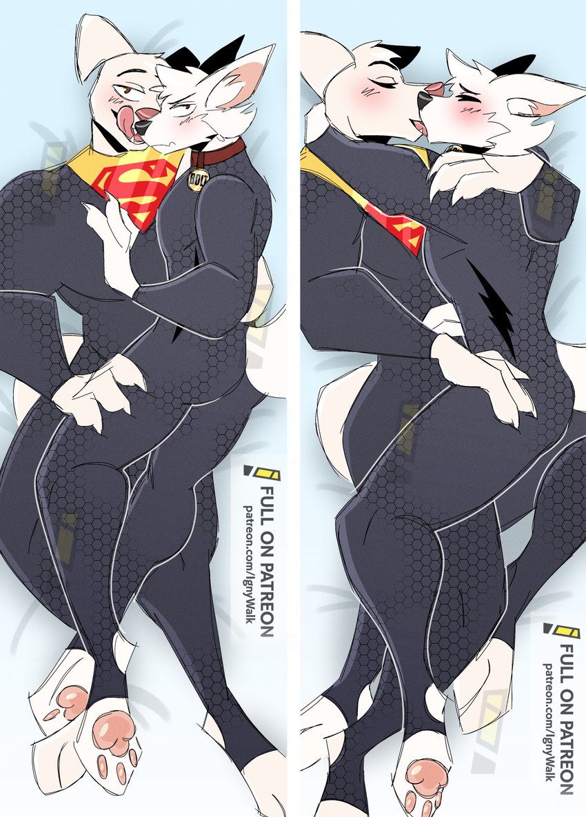 anthro aroused bodysuit clothing collar daddy_kink dakimakura duo emotional femboy french_kissing hero kiss_on_lips kissing latex latex_clothing licking licking_lips looking_at_viewer love lovers_moment male male/male pawpads paws pose romantic romantic_couple shy skinsuit space spacesuit superdog superhero superhero_costume tight_clothing tongue tongue_out walk-w-igny bolt_(film) dc_comics dc_league_of_super-pets disney krypto_the_superdog bolt_(bolt) krypto canid canine canis domestic_dog mammal dakimakura_design hi_res