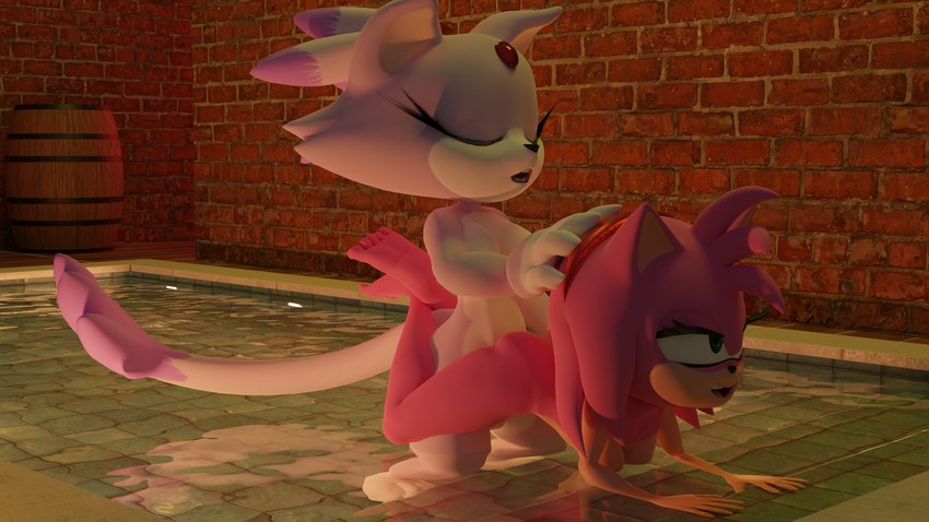 amy rose and blaze the cat (sonic the hedgehog (series) and etc) created by ganondork and rotalice2