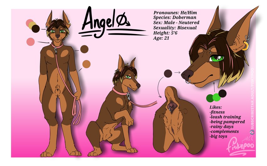 animal_genitalia anthro anus collar collar_only ear_piercing eunuch facial_piercing feral fully_sheathed genital_scar genitals leash leashed_collar nose_piercing nose_ring nude orchiectomy_scar piercing ring_piercing scar sheath fisk24 angel_(danger_raija) canid canine mammal hi_res