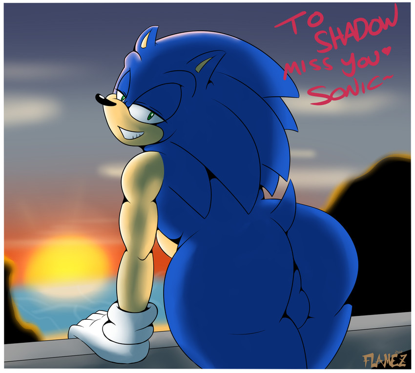 anthro balls border butt card_template genitals leaning_on_object looking_at_viewer looking_back male postcard solo sunset white_border flamez sega sonic_the_hedgehog_(series) sonic_the_hedgehog eulipotyphlan hedgehog mammal hi_res