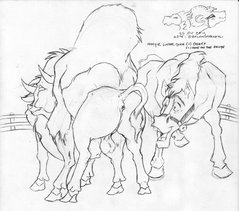 ambiguous_gender anatomically_correct animal_genitalia anus balls big_balls duo female feral feral_on_feral genitals hooves male male/female miquiztli puffy_anus quadruped raised_tail sex tail tail_anus voyeur dralam disney home_on_the_range buck_(hotr) junior_(disney) maggie_(disney) bison bovid bovine cattle equid equine horse mammal 2010 monochrome