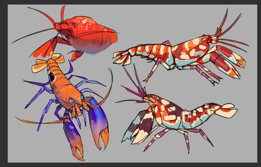 ambiguous_gender antennae_(anatomy) border exoskeleton feral grey_background grey_border orange_body orange_exoskeleton pincers red_body red_exoskeleton simple_background aevris arthropod crustacean marine pistol_shrimp shrimp