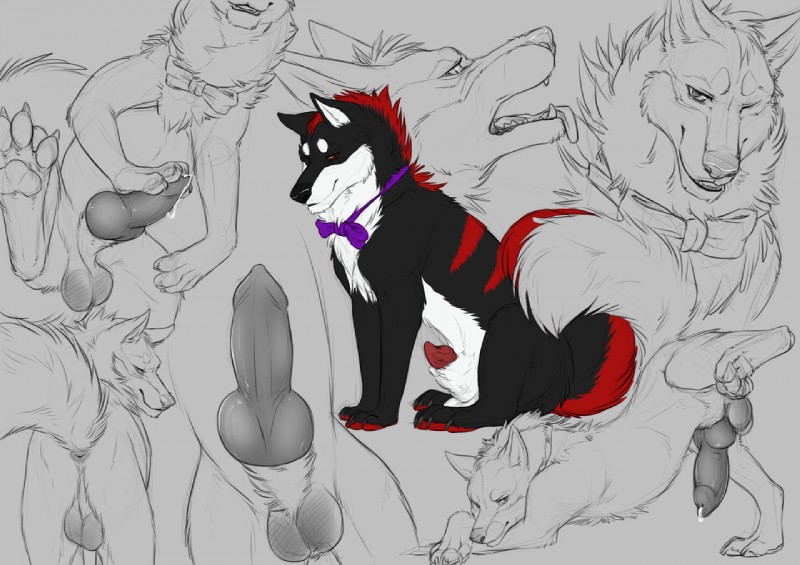 anatomically_correct anatomically_correct_genitalia anatomically_correct_penis animal_genitalia animal_penis anus ass_up attached_sheath backsack balls black_balls black_body black_claws black_fur black_nose black_penis bodily_fluids bow_(feature) bow_tie butt canine_genitalia canine_penis claws cum darkened_balls darkened_genitalia disproportionately_detailed_genitals erection feral fur genital_fluids genitals hand_on_penis head_down_ass_up knot looking_aside looking_at_viewer looking_back looking_back_at_viewer male nude one_eye_closed open_mouth pawpads penis penis_tip presenting presenting_hindquarters presenting_penis purple_ribbon raised_leg raised_tail red_body red_eyes red_fur red_pawpads red_penis sheath sheath_tuft simple_background sitting smile solo tail tongue tongue_out white_body white_fur white_sheath wink yaroul canid canine canis domestic_dog husky mammal nordic_sled_dog spitz 2016 selectively_detailed