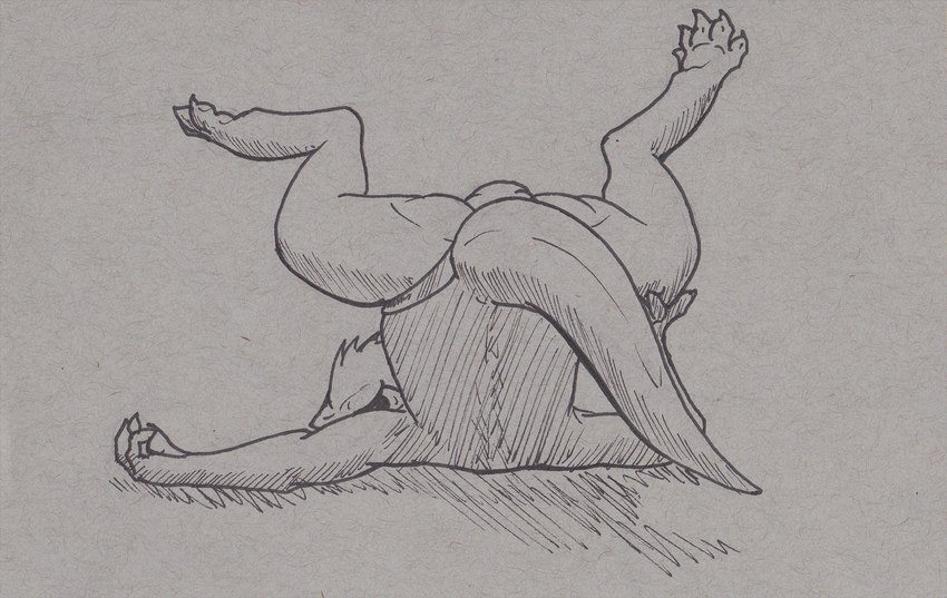 anthro butt clothing lying male on_back panties paws presenting raised_paw solo underwear doesnotexist bryce_daeless eurasian_otter lutra mammal mustelid otter river_otter hi_res monochrome pen_(artwork) traditional_media_(artwork)