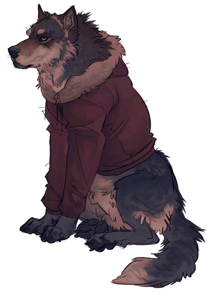 anatomically_correct anatomically_correct_genitalia animal_genitalia balls bottomless casual_exposure clothed clothed_feral clothing feral fully_sheathed fur genitals grey_body grey_fur inner_ear_fluff male pawpads paws sheath simple_background sitting solo sweater tan_body tan_fur topwear tuft whiskers white_background nmvsolidus canid canine canis mammal wolf 2020 hi_res