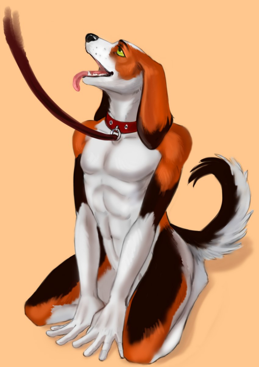 breath collar collar_only kneeling leash male nude panting solo chlorine_artworks canid canine mammal absurd_res hi_res