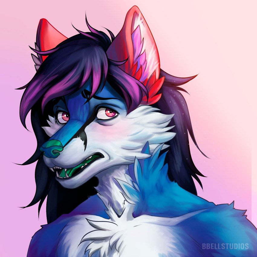 anthro bbellstudios blue_body cheek_tuft eyebrows facial_tuft female fluffy fluffy_chest green_nose green_tongue highlights_(coloring) purple_eyes raised_eyebrow raised_eyebrows red_ears scared sharp_teeth solo teeth tongue tuft worried amokah canid canine fox mammal 1:1 hi_res