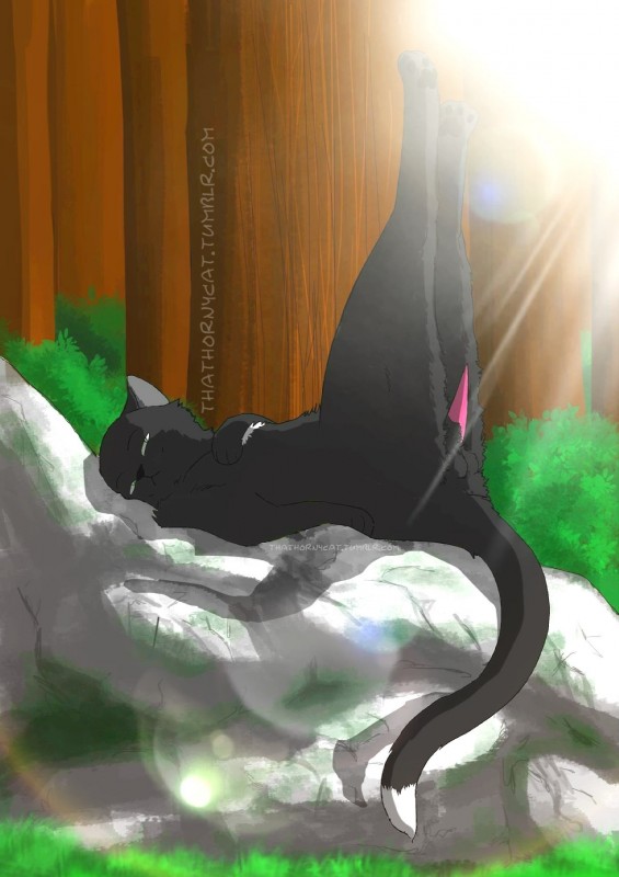 balls black_body black_fur feet feral fur genitals glare grass hindpaw light male paws penis plant rock solo sunlight tail tree white_body white_fur thathornycat warriors_(book_series) ravenpaw_(warriors) domestic_cat felid feline felis mammal cel_shading digital_media_(artwork) hi_res shaded