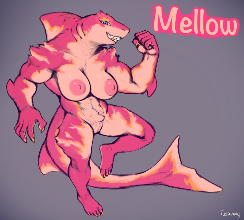 anthro balls big_breasts breasts claws feet female fur genitals muscular muscular_female nipples nude penis pink_body pink_fur pussy smile solo spikes tail teeth text tussamag mellow_(tussamag) fish marine shark absurd_res hi_res