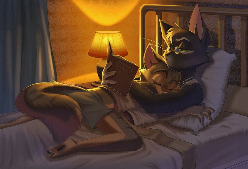 anthro bed book clothing cuddling duo eyewear falling_asleep furniture gentleman glasses love male male/male purring reading reading_book resting resting_on_breast resting_on_partner sweet_talking underwear warm_lighting shmoopyldoopy lackadaisy mordecai_heller rocky_rickaby domestic_cat felid feline felis mammal hi_res