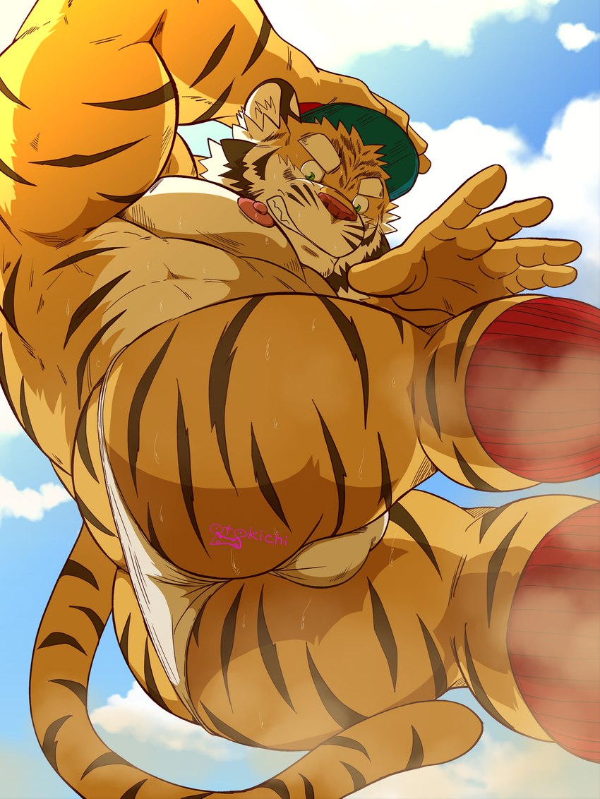 anthro bodily_fluids bulge butt clothing cloud hat headgear headwear humanoid_hands kemono male musk nipples outside solo sweat tail underwear raichoclub felid mammal pantherine tiger 2023 hi_res