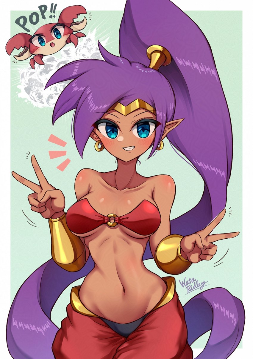 blue_eyes breasts brown_body brown_skin clothing double_v_sign ear_piercing ear_ring female gesture hair hand_gesture humanoid_pointy_ears long_hair piercing pointy_ears ponytail purple_hair ring_piercing solo species_transformation transformation v_sign wata-ridley shantae_(series) wayforward shantae shantae_(crab_form) arthropod crab crustacean decapod genie humanoid malacostracan 2024 hi_res signature