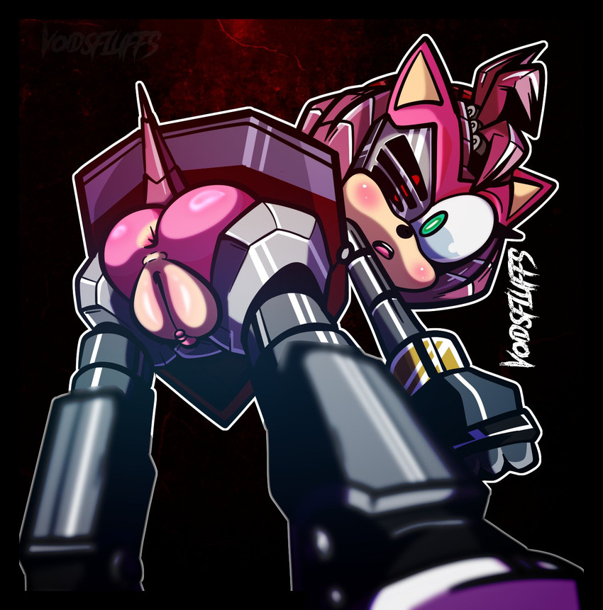 amy rose and rusty rose (sonic the hedgehog (series) and etc) created by voidsdroids