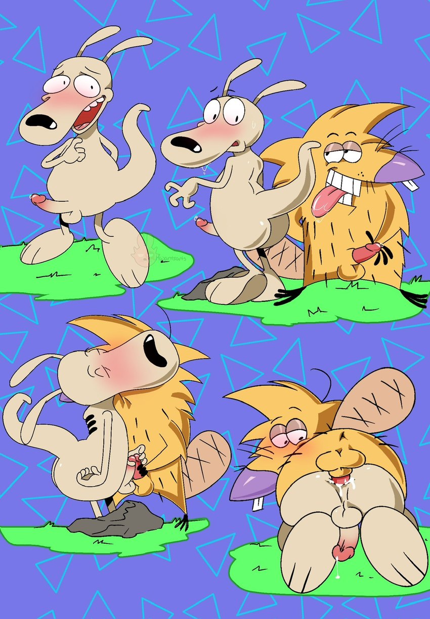 norbert beaver and rocko rama (rocko's modern life and etc) created by hwantsarts