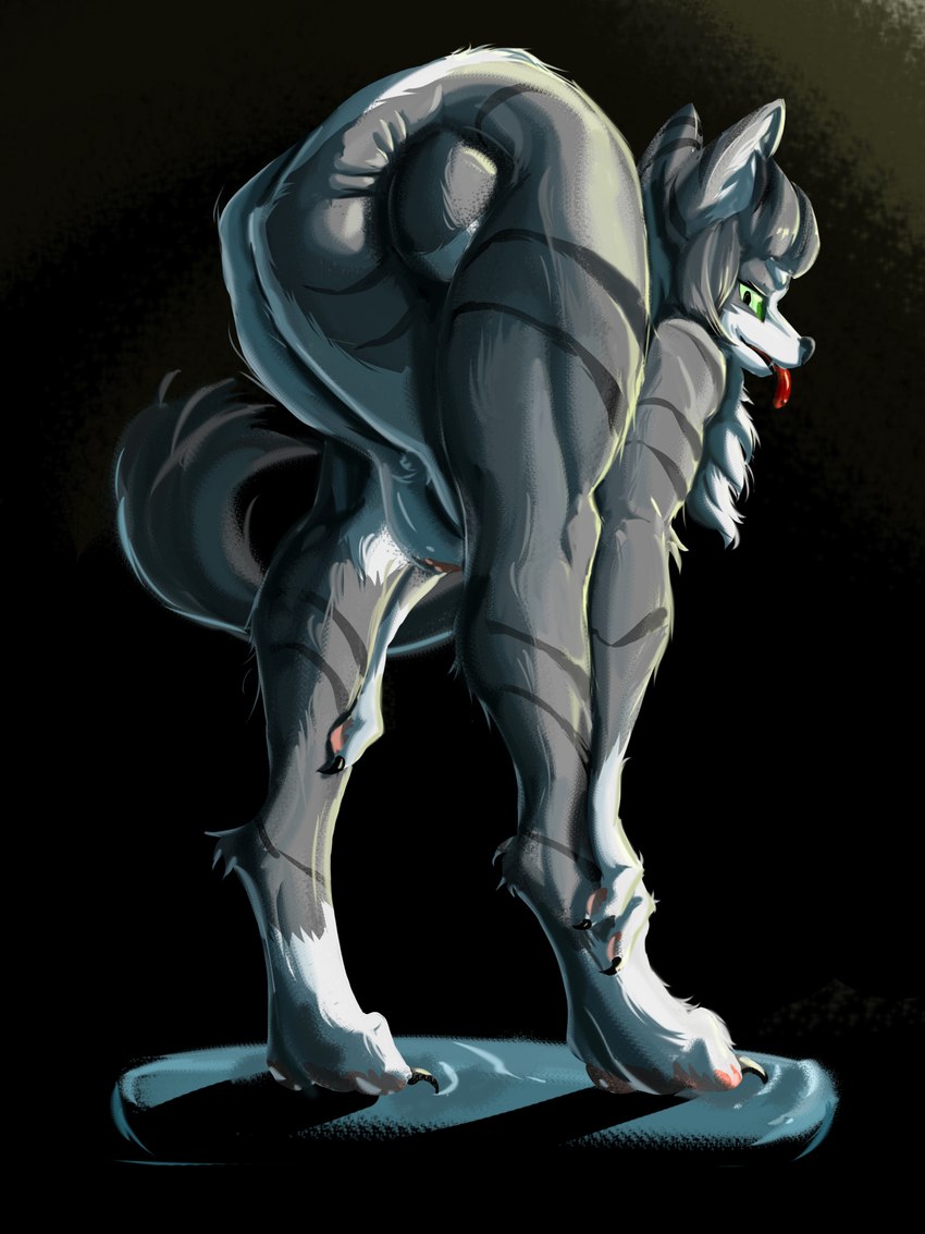 4_toes anthro backbend feet female flexible fur green_eyes grey_body grey_ears grey_fur grey_tail nude solo tail toes gyy canid mammal 3:4 hi_res