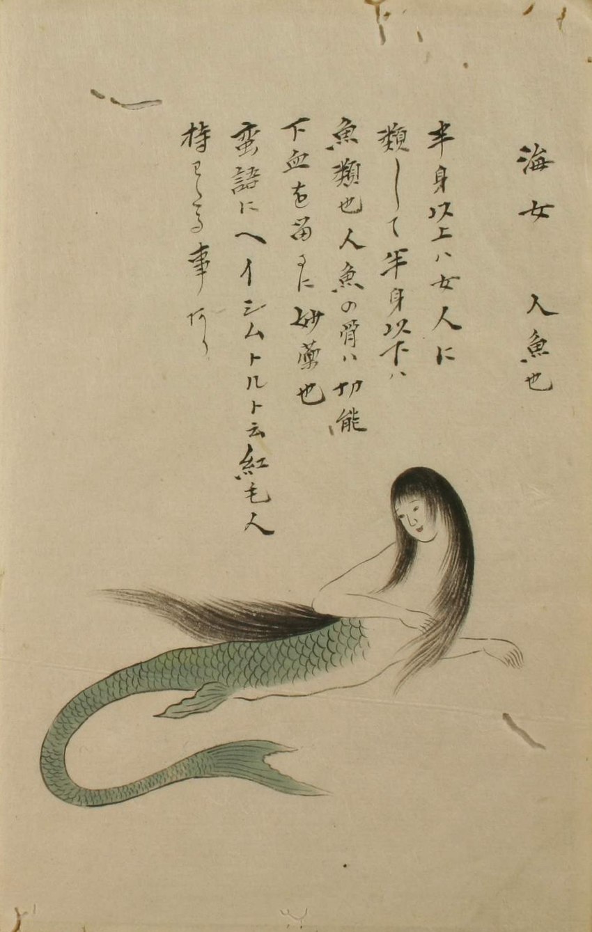 black_hair female fin green_body green_scales hair leg_fins long_hair scales solo split_form tail tail_fin text hirokawa_kai humanoid marine merfolk 19th_century ancient_art hi_res japanese_text translated